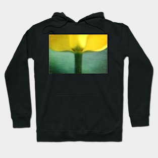 Glass of sunshine Hoodie